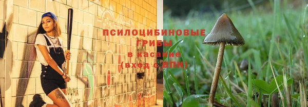 эйфоретик Алзамай