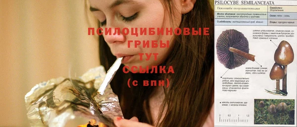 а пвп мука Алексин