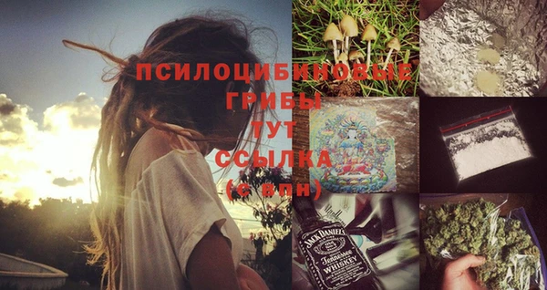 эйфоретик Алзамай