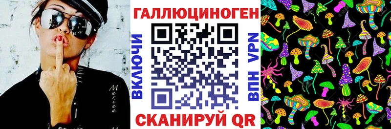 Галлюциногенные грибы Cubensis  Кропоткин 