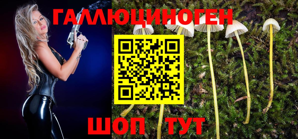Кропоткин  Псилоцибиновые грибы GOLDEN TEACHER  Вход с VPN  Галлюциногенные грибы мухоморы 
